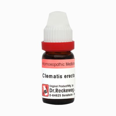 Dr. Reckeweg Clematis Erecta CM Liquid 11 ml