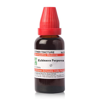 Dr. Willmar Schwabe Echinacea Purpurea Ø Liquid 30 ml