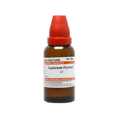 Dr. Willmar Schwabe Equisetum Hyemale Ø Liquid 30 ml