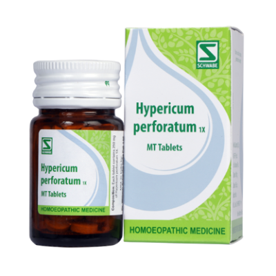 Dr. Willmar Schwabe Hypericum Perforatum 1X Tablet 20 gm
