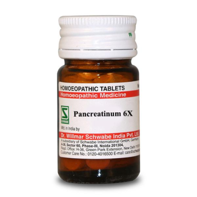 Dr. Willmar Schwabe Pancreatinum 6X Tablet 20 gm